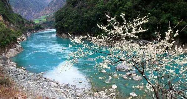 阿富汗难民会涌到中国吗游戏画面